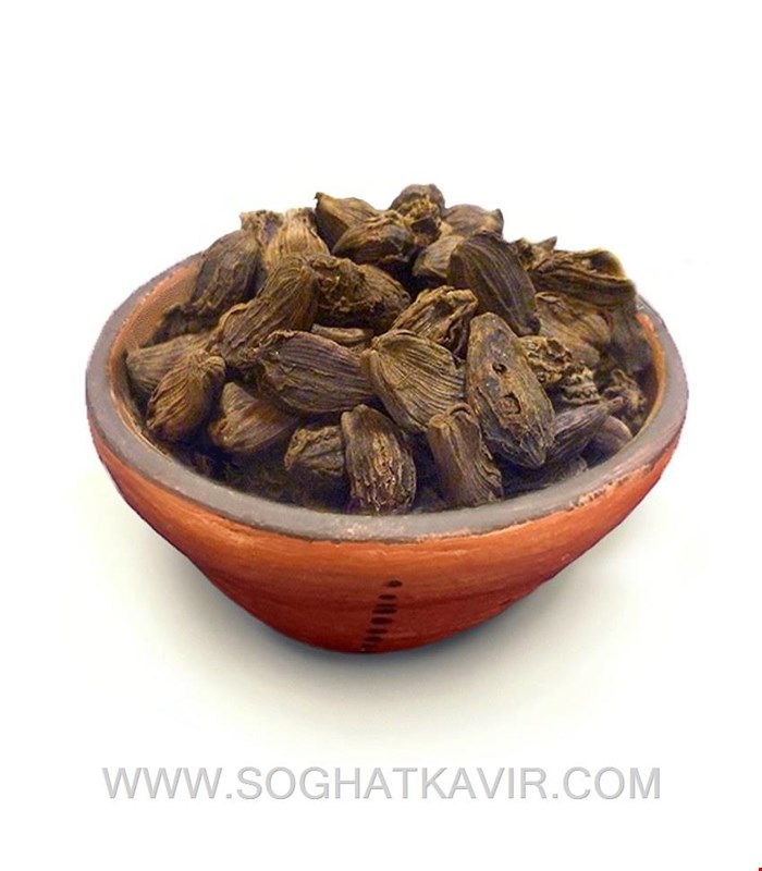 هل سیاه هندی