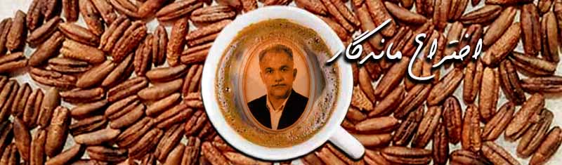 قهوه هسته خرما ارگانیک